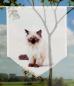 Preview: Majesti Katzenbaby, Scheibenhänger spitz